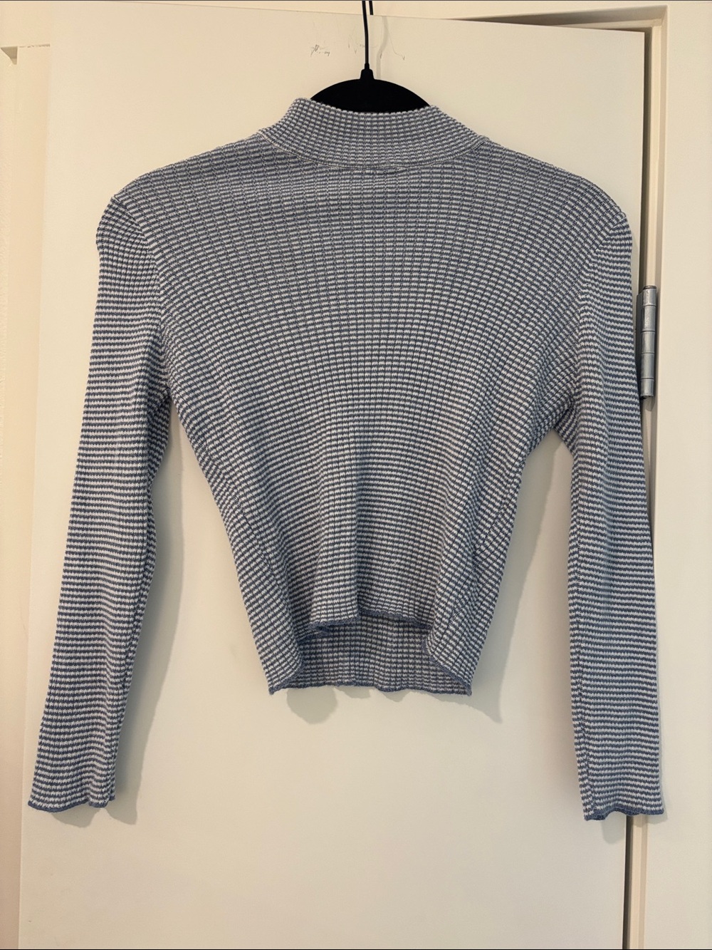 Brandy Melville Crop Long Sleeve Top mock neck